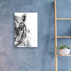 Tiger At Attention by Brandon Wong - 16x24 acrylic wall art in a room