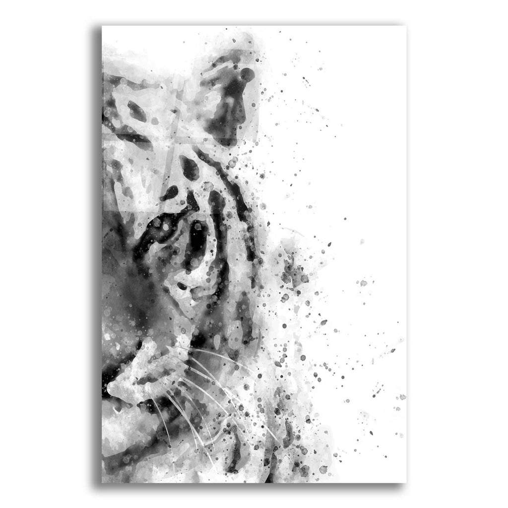 Tiger At Attention by Brandon Wong acrylic glass wall art