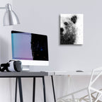 Bear At Attention by Brandon Wong - 12x16 acrylic wall art in a room