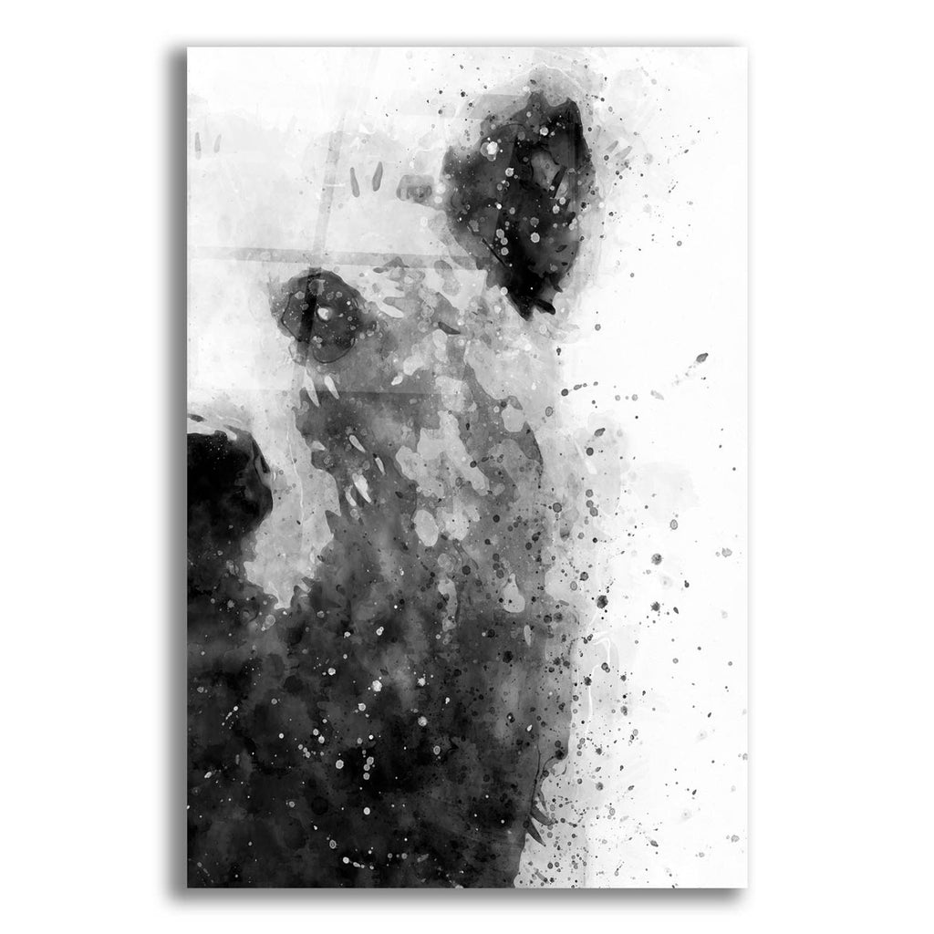 Bear At Attention by Brandon Wong acrylic glass wall art