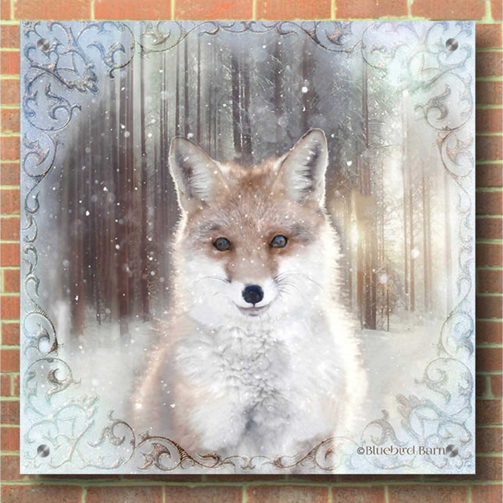 Enchanted Winter Fox by Bluebird Barn - 36x36 acrylic wall art in a room