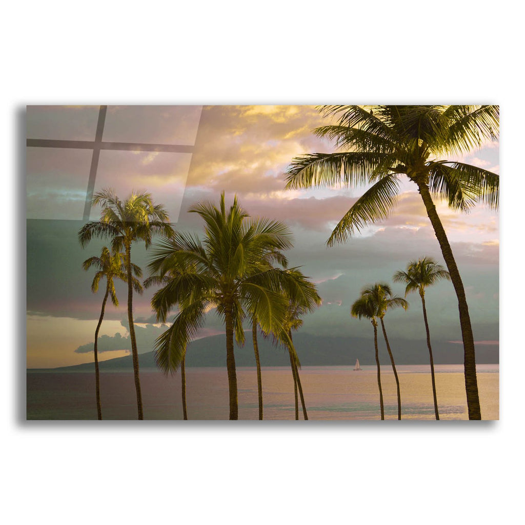 HawaII Palm Sunset No. 1 by Carlos Vargas acrylic glass wall art