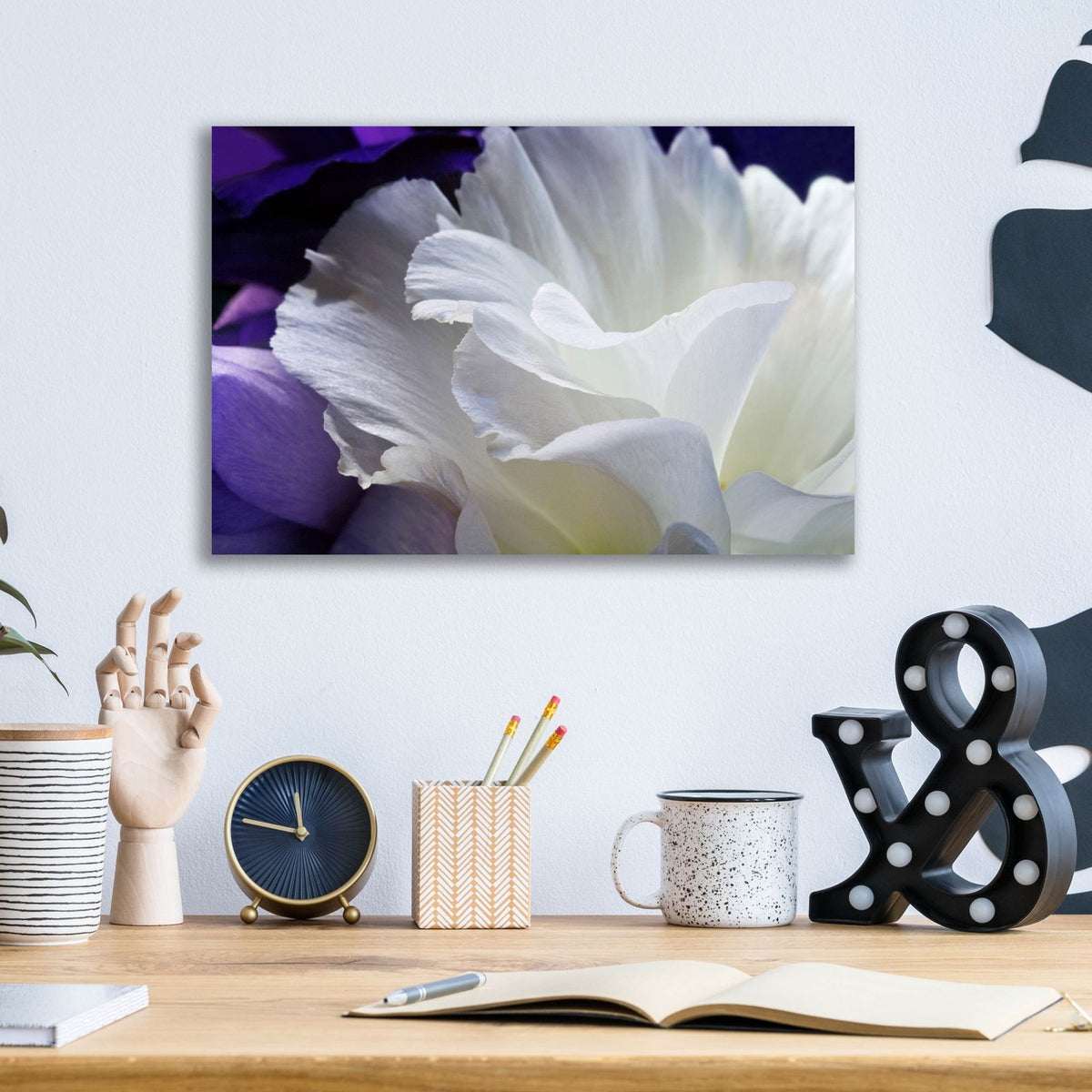 Lisianthus by Amalia Elena Veralli - 16x12 acrylic wall art in a room