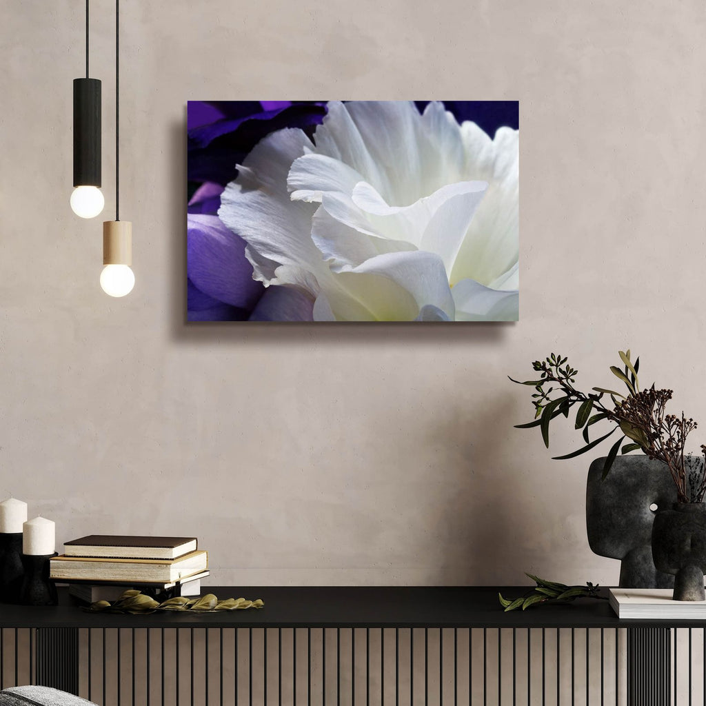 Lisianthus by Amalia Elena Veralli - 24x16 acrylic wall art in a room
