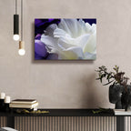 Lisianthus by Amalia Elena Veralli - 24x16 acrylic wall art in a room