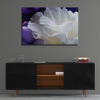 Lisianthus by Amalia Elena Veralli - 36x24 acrylic wall art in a room