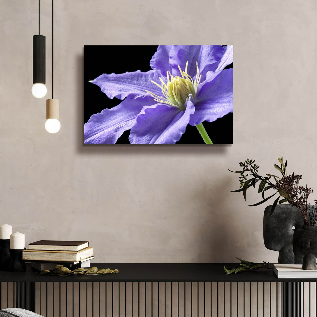 Purple Clematis by Amalia Elena Veralli - 24x16 acrylic wall art in a room