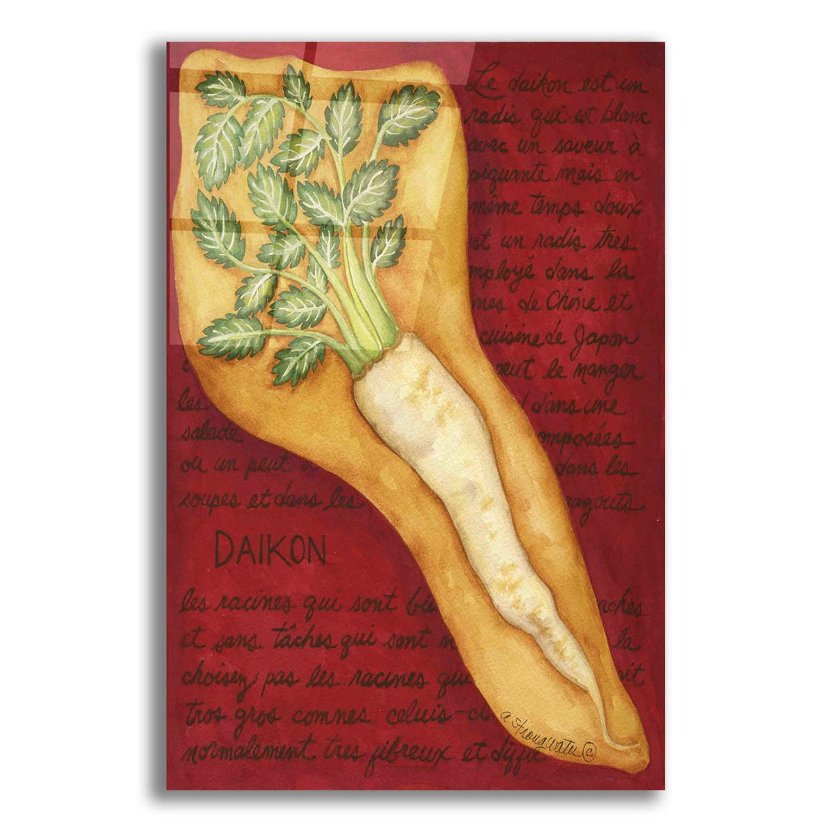 Veggies On Red L Daikon by Andrea Strongwater acrylic glass wall art