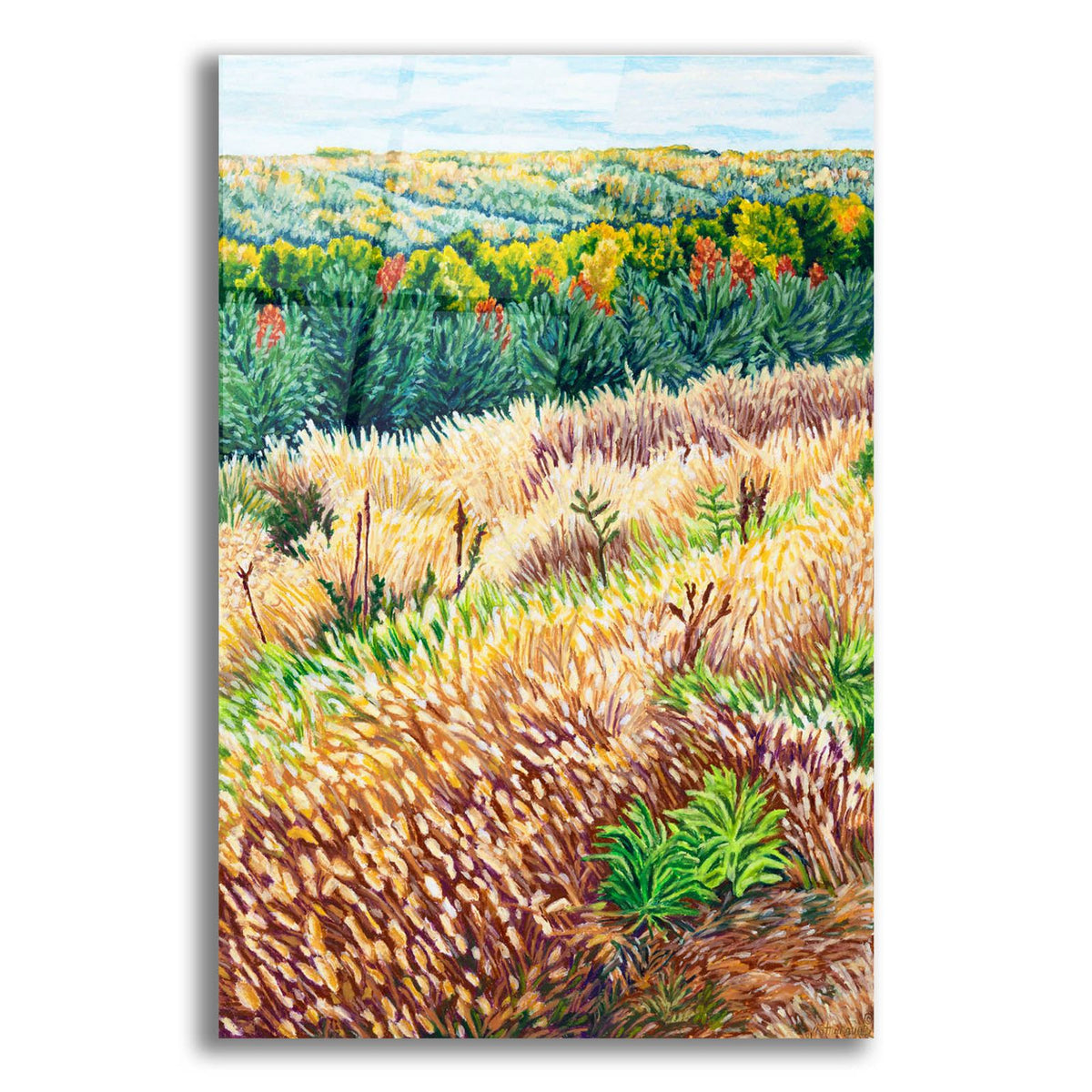 Ny Autumn Grasses Littletree by Andrea Strongwater acrylic glass wall art
