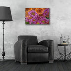 Gerbera Mostly Magenta by Andrea Strongwater - 24x16 acrylic wall art in a room