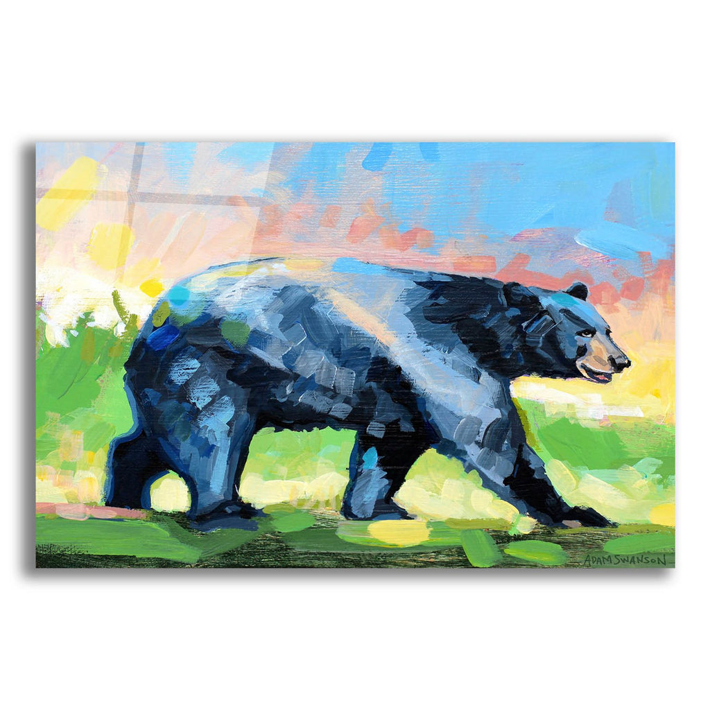 Seek by Adam Swanson acrylic glass wall art