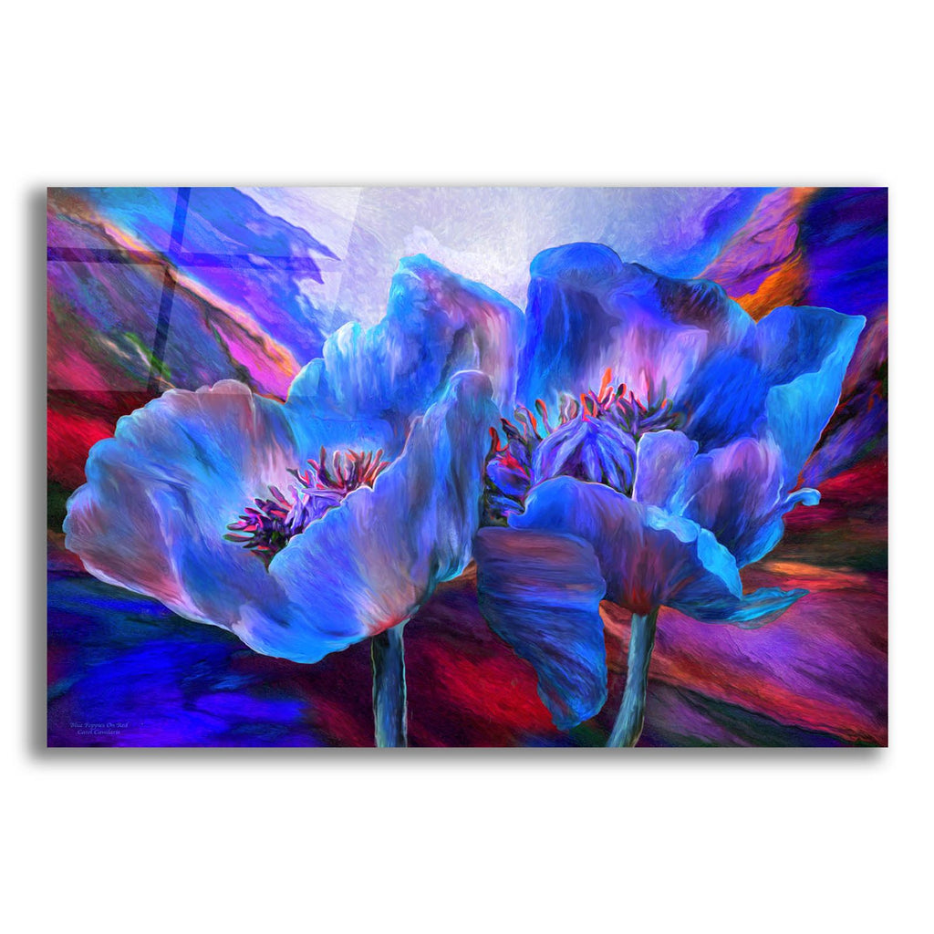 Blue Poppies On Red by Carol Cavalaris acrylic glass wall art