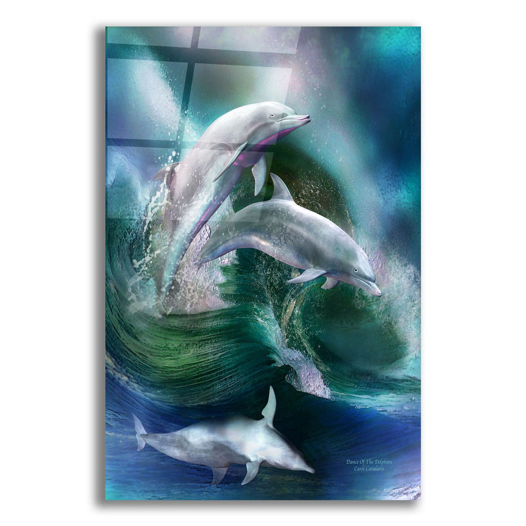 Dance Of The Dolphins by Carol Cavalaris acrylic glass wall art