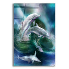 Dance Of The Dolphins by Carol Cavalaris acrylic glass wall art