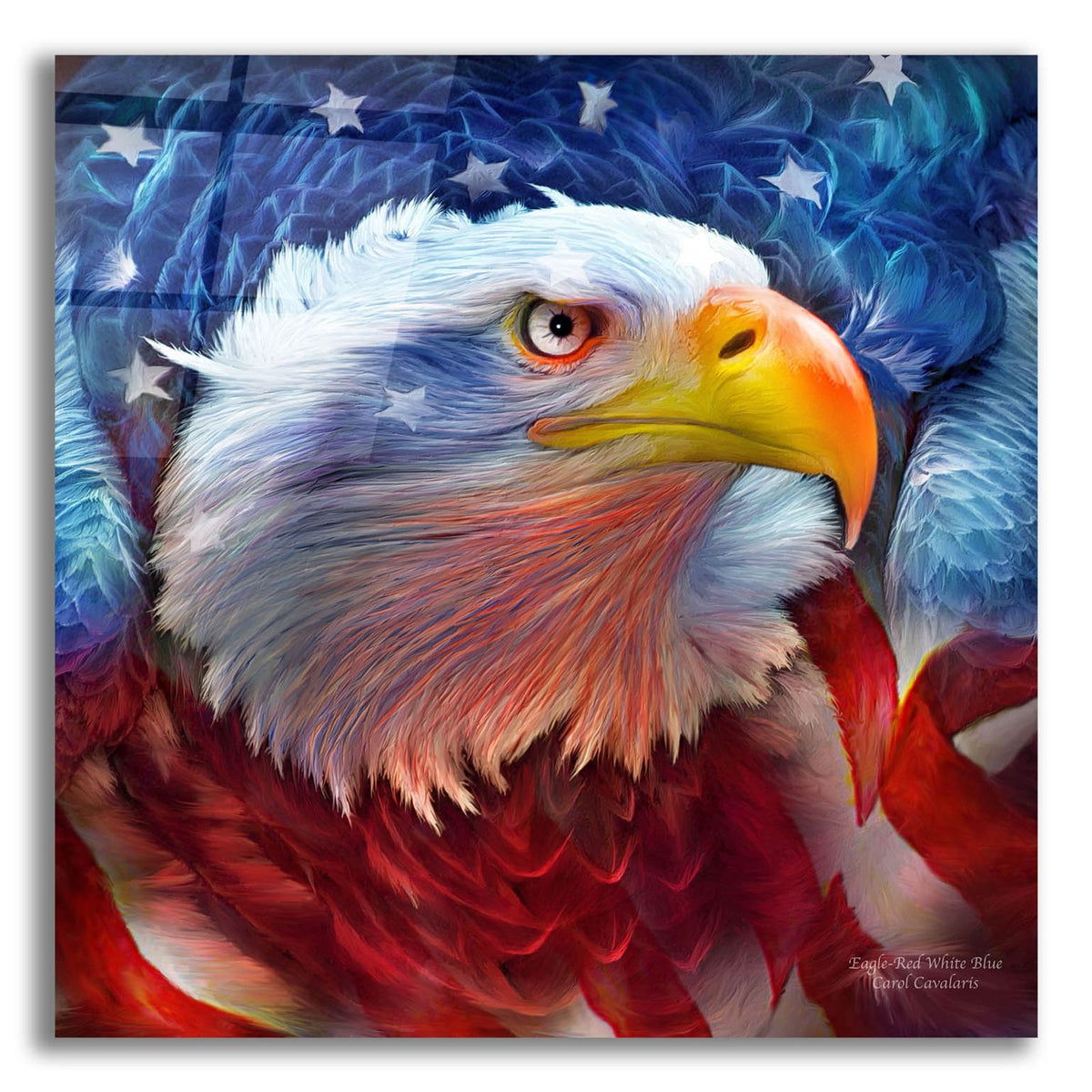 Eagle Red White Blue by Carol Cavalaris acrylic glass wall art