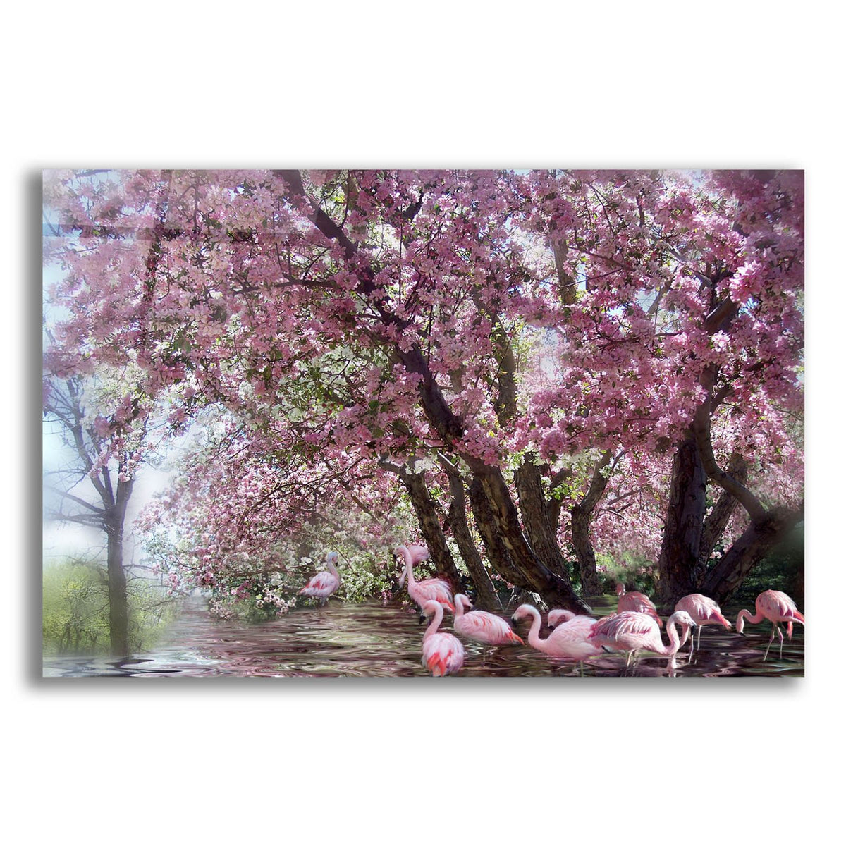 Flamingo Lagoon by Carol Cavalaris acrylic glass wall art
