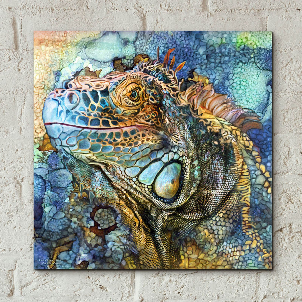 Iguana - Spirit Of Contenment by Carol Cavalaris - 12x12 acrylic wall art in a room