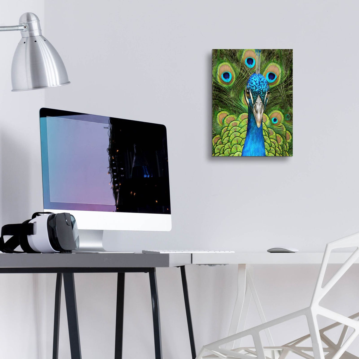 Peacock Face Bf by Carol Cavalaris - 12x16 acrylic wall art in a room