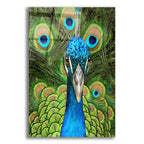 Peacock Face Bf by Carol Cavalaris acrylic glass wall art