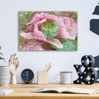 Pink Poppy Organica by Carol Cavalaris - 16x12 acrylic wall art in a room