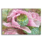 Pink Poppy Organica by Carol Cavalaris acrylic glass wall art