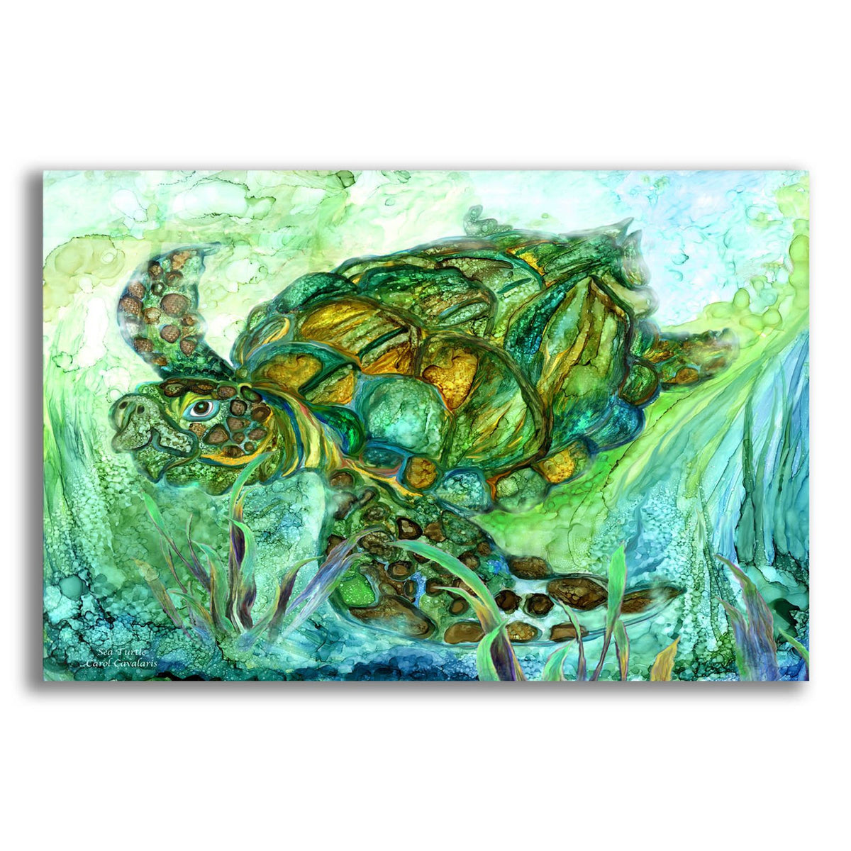 Sea Turtle - Spirit Of Peace by Carol Cavalaris acrylic glass wall art