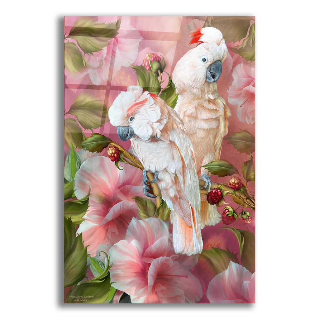 Tropic Spirits - Cockatoo by Carol Cavalaris acrylic glass wall art