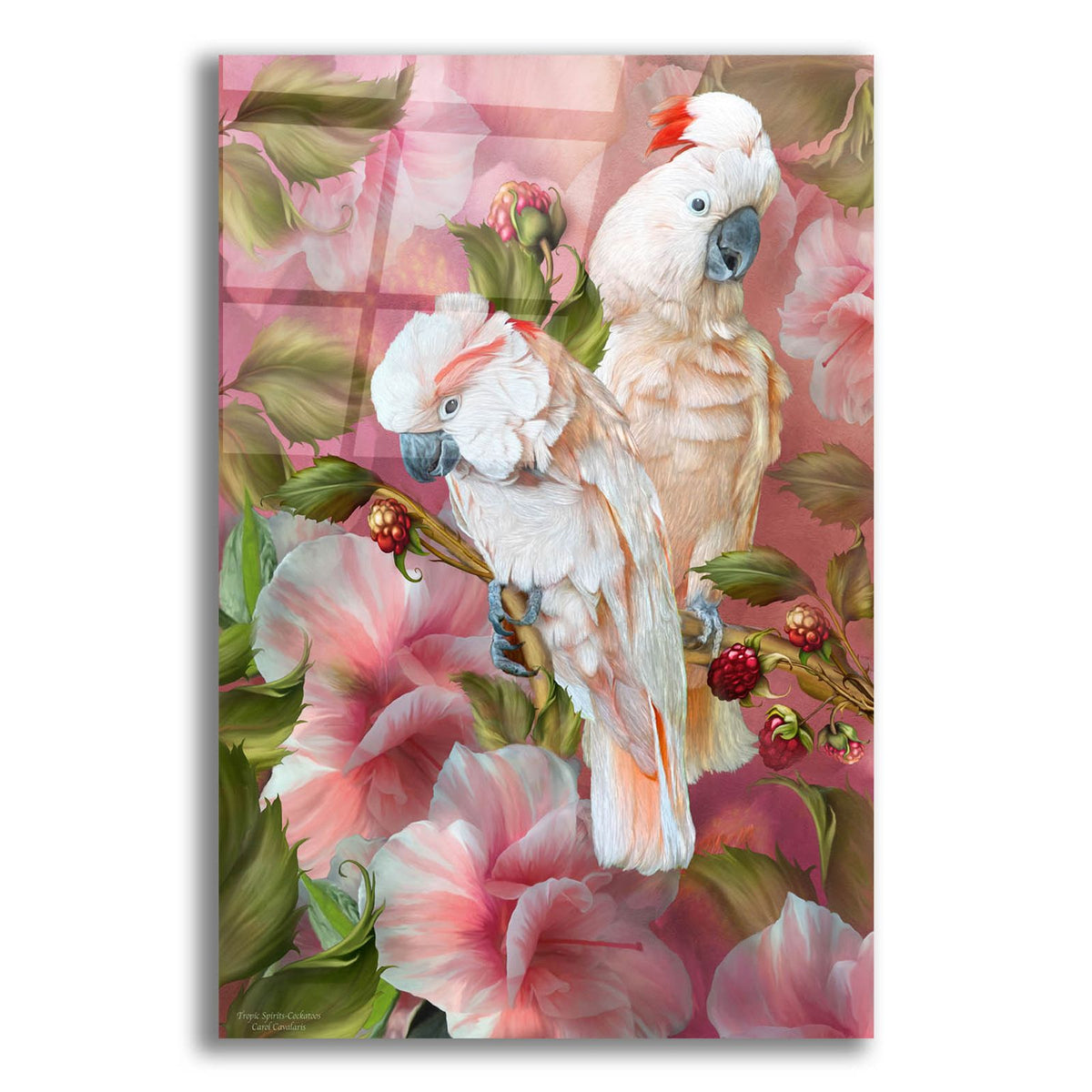 Tropic Spirits - Cockatoo by Carol Cavalaris acrylic glass wall art