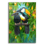 Tropic Spirits - Toucans by Carol Cavalaris acrylic glass wall art