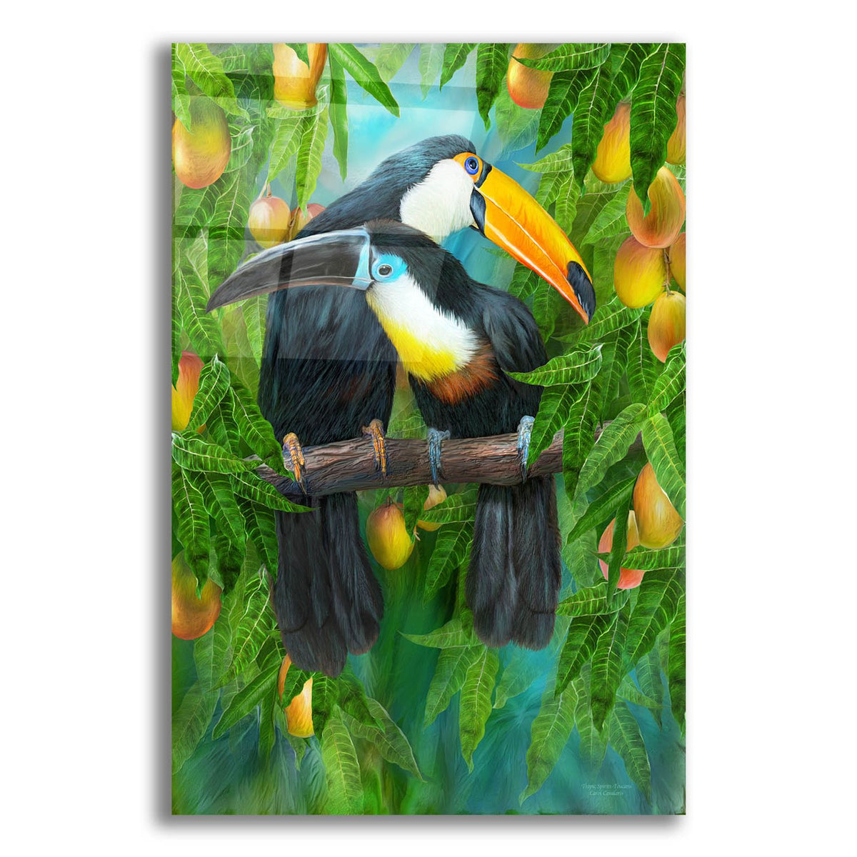 Tropic Spirits - Toucans by Carol Cavalaris acrylic glass wall art
