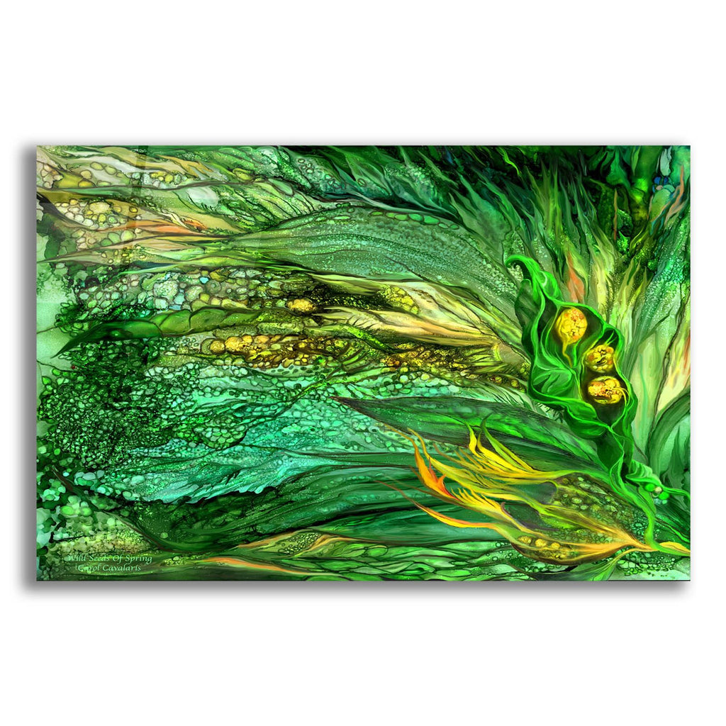 Wild Seeds Spring by Carol Cavalaris acrylic glass wall art