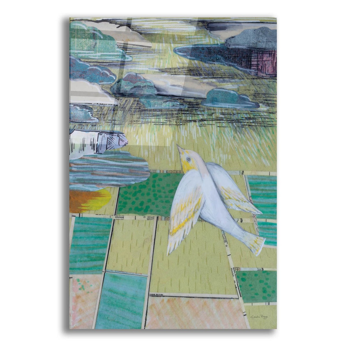 Country Flight by Candra Boggs acrylic glass wall art
