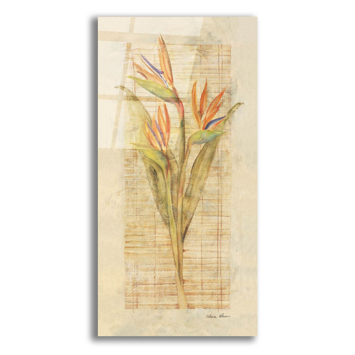 Bird Of Paradise by Cheri Blum acrylic glass wall art