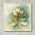 French Magnolia by Cheri Blum - 12x12 acrylic wall art in a room
