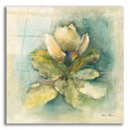 French Magnolia by Cheri Blum acrylic glass wall art