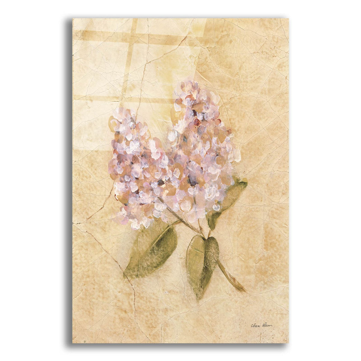 Lilac On Cracked Linen by Cheri Blum acrylic glass wall art