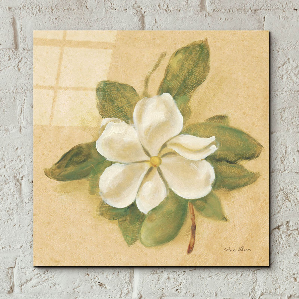 Magnolia by Cheri Blum - 12x12 acrylic wall art in a room
