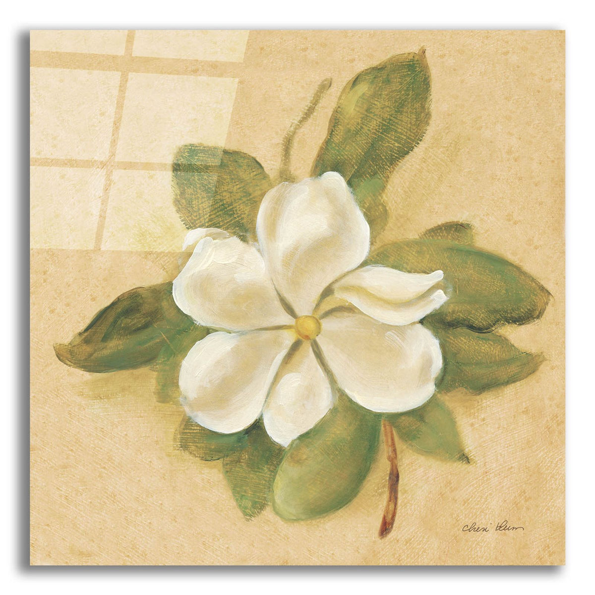 Magnolia by Cheri Blum acrylic glass wall art