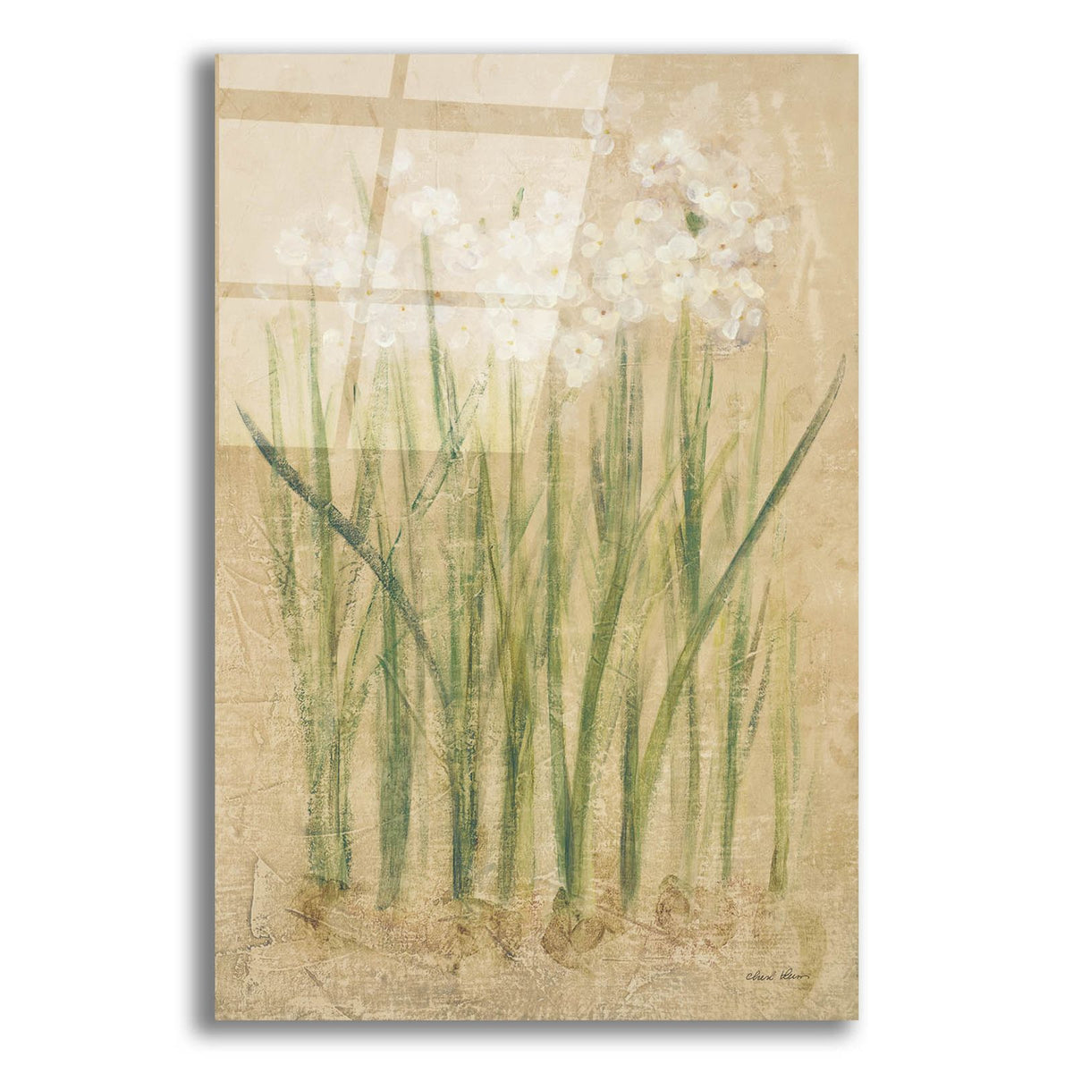 Narcissus by Cheri Blum acrylic glass wall art