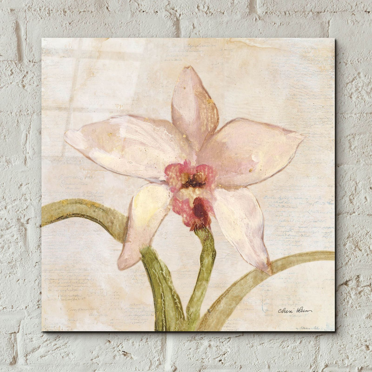 Orchid 1 by Cheri Blum - 12x12 acrylic wall art in a room