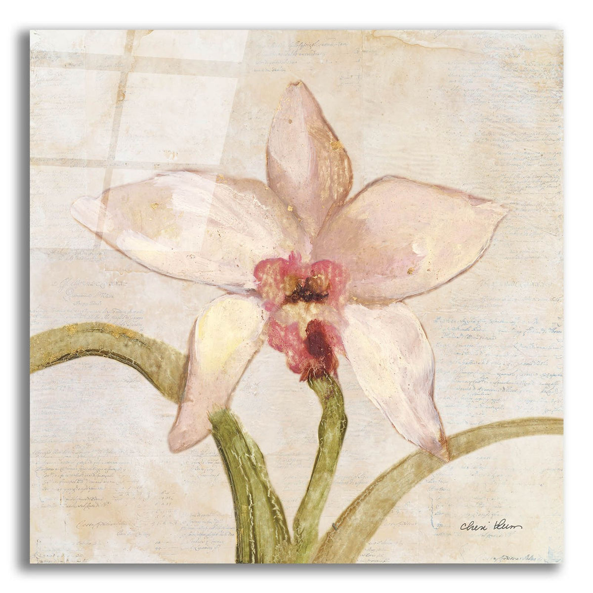 Orchid 1 by Cheri Blum acrylic glass wall art