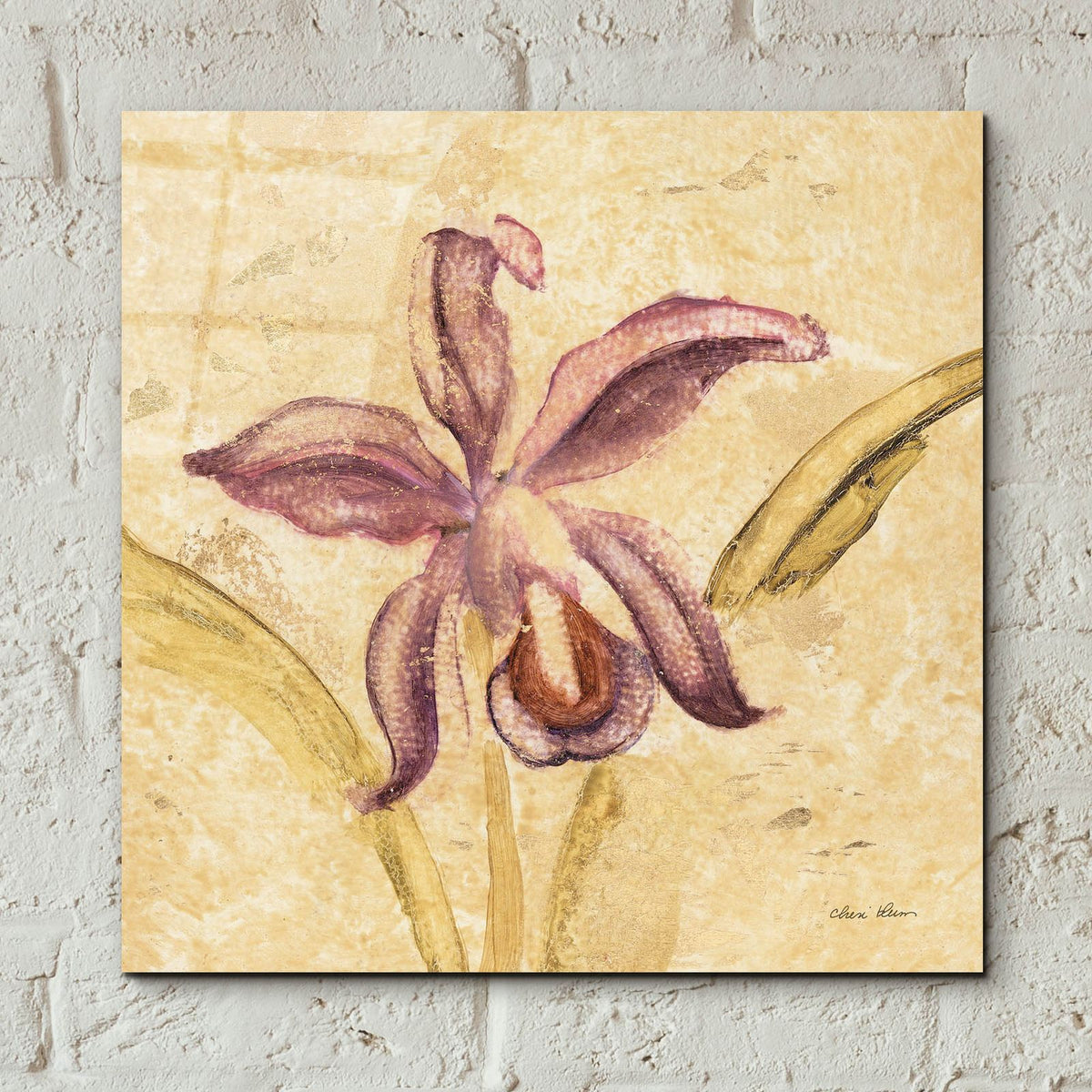 Petite Orchid 4 by Cheri Blum - 12x12 acrylic wall art in a room