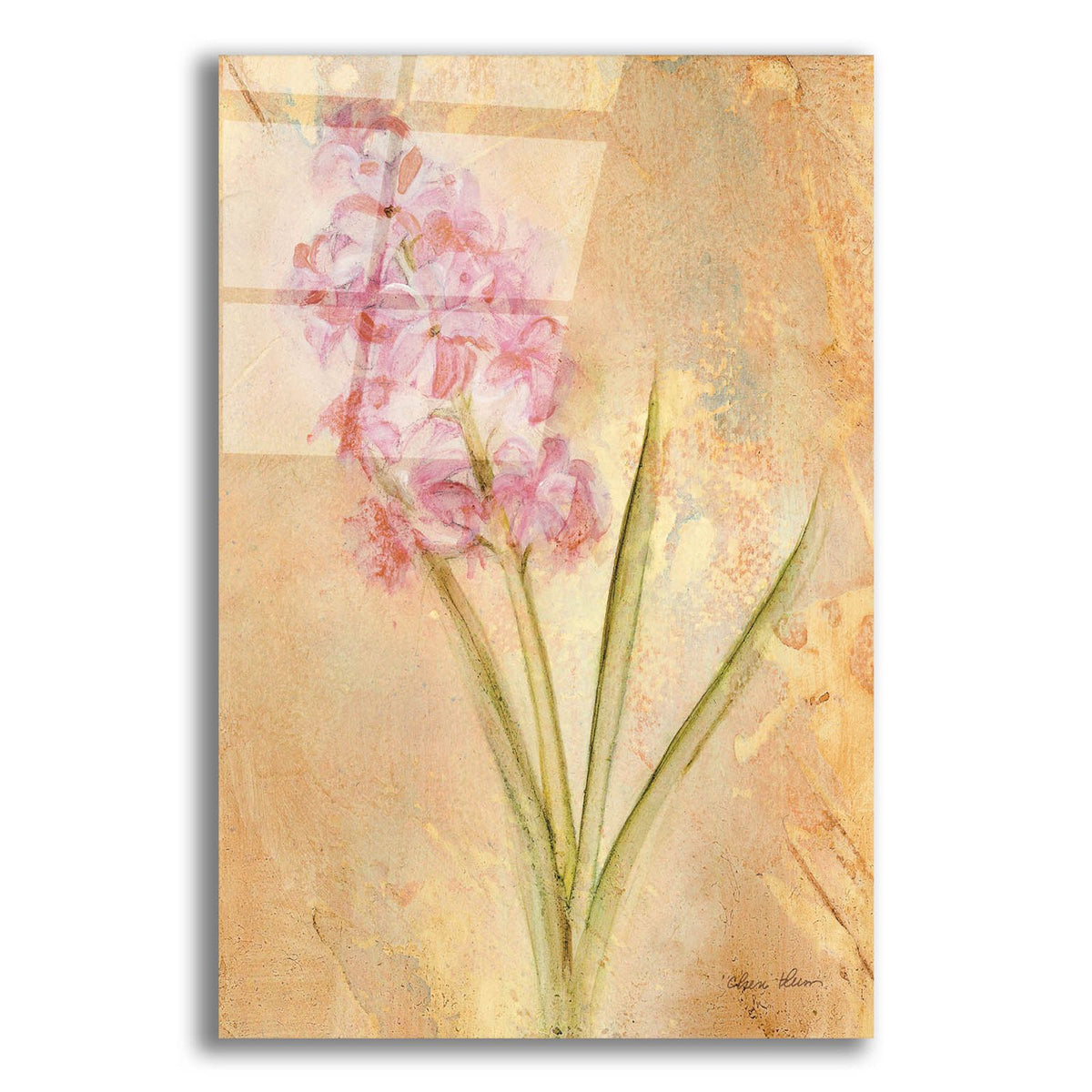 Pink Hyacinth by Cheri Blum acrylic glass wall art