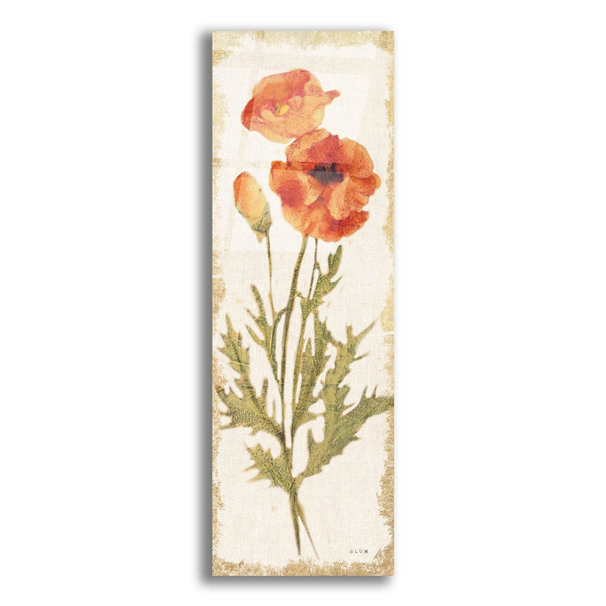 Poppy Panel Light by Cheri Blum acrylic glass wall art