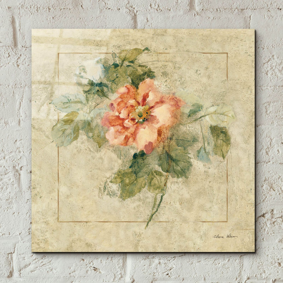 Provence Rose 2 by Cheri Blum - 12x12 acrylic wall art in a room