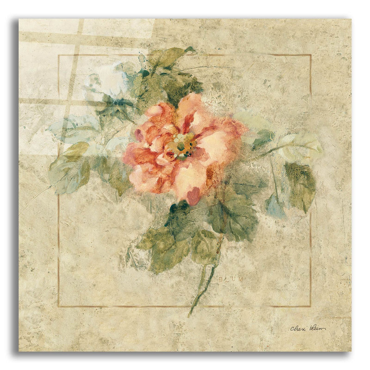 Provence Rose 2 by Cheri Blum acrylic glass wall art