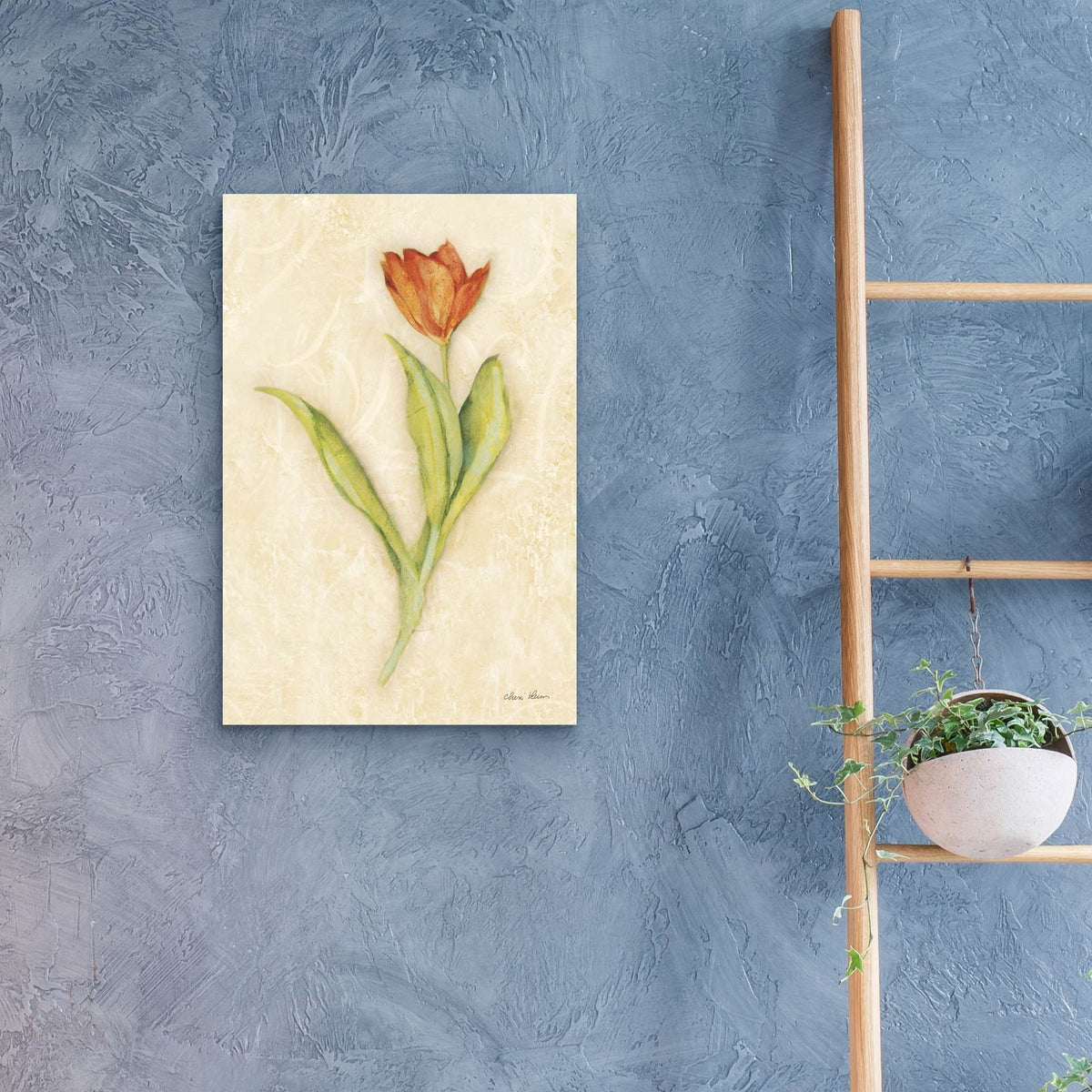 Red Tulip Stem by Cheri Blum - 16x24 acrylic wall art in a room