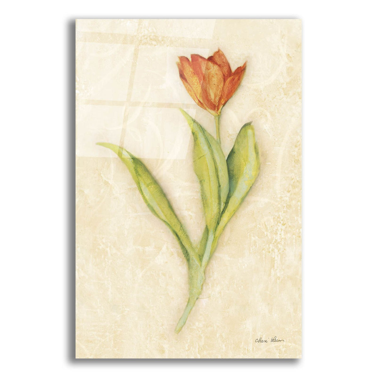 Red Tulip Stem by Cheri Blum acrylic glass wall art