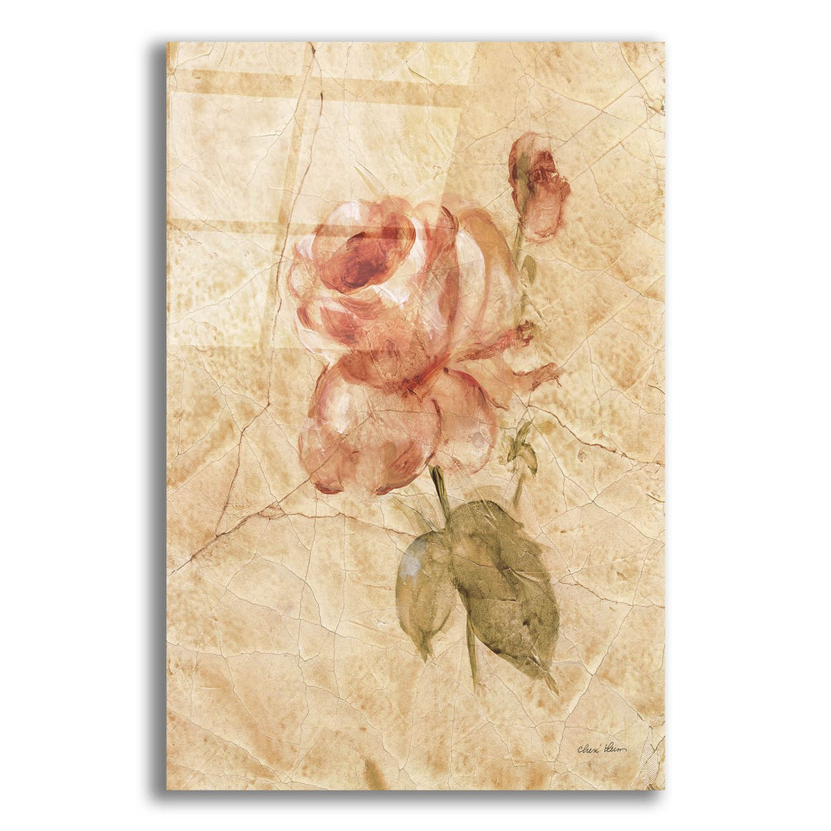 Rose On Cracked Linen by Cheri Blum acrylic glass wall art