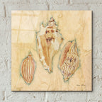Shells 1 by Cheri Blum - 12x12 acrylic wall art in a room